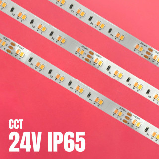 LED Strip CCT 24V IP65 | Canarlight