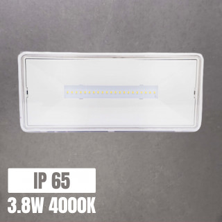 SAFELUX LED Emergency Light 3.8W 4000K 3h Autonomy IP65 | Canarlight