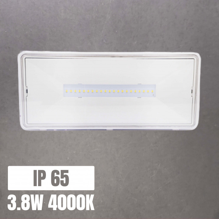 SAFELUX LED Emergency Light 3.8W 4000K 3h Autonomy IP65 | Canarlight