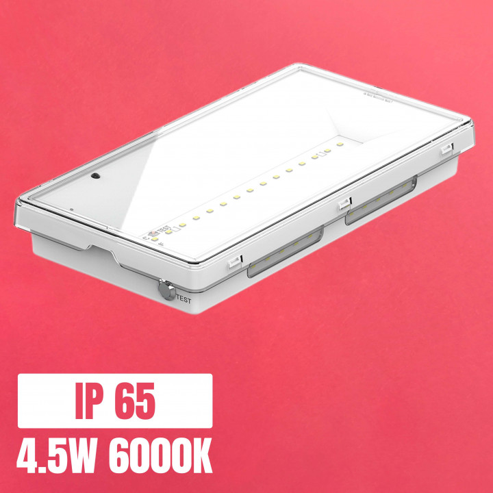 Luz de emergencia LED SAFELUX DOBLE 4.5W 6000K 3h de autonomía IP65 | Canarlight