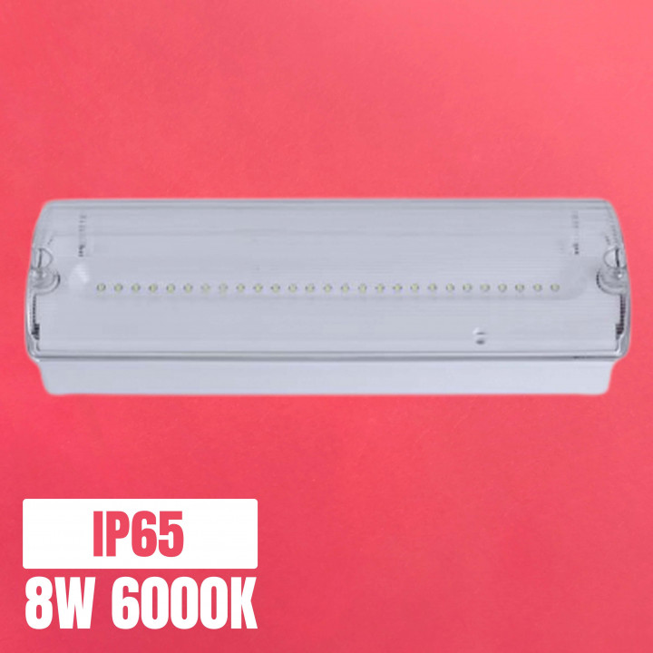 Luz de emergencia LED POWERLUX 8W 6000K 3h autonomía IP65 IK10 | Canarlight