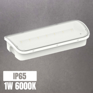 Luz de emergencia LED LONGLUX 1W 6000K 3h autonomía IP65 | Canarlight