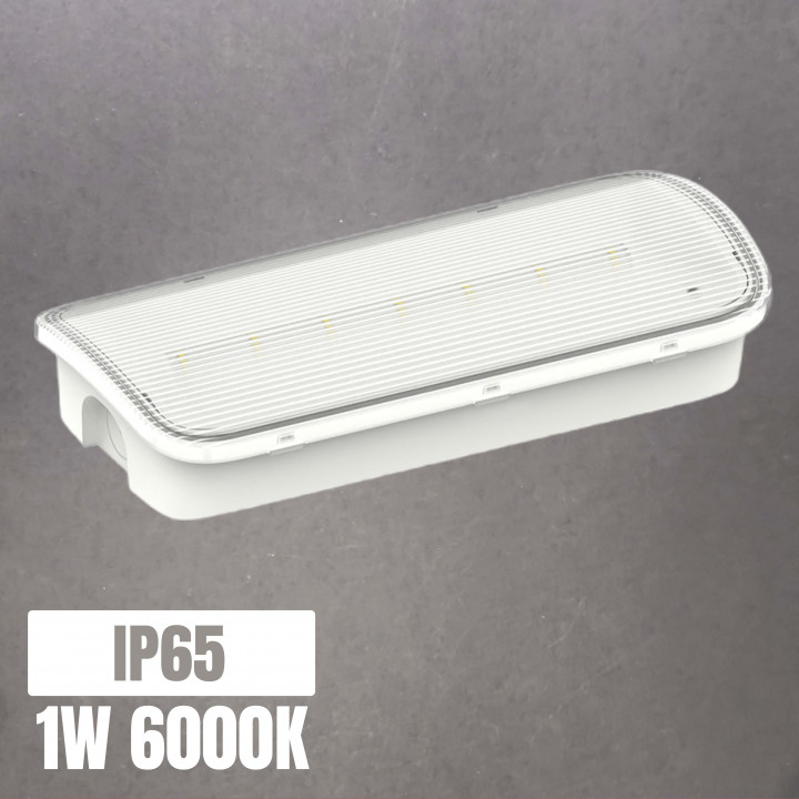 Luz de emergencia LED LONGLUX 1W 6000K 3h autonomía IP65 | Canarlight